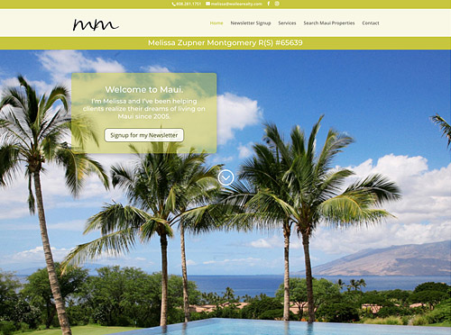 Maui Website Design