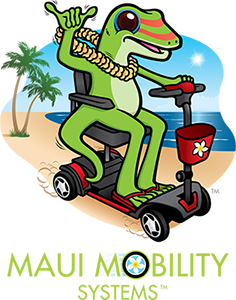 Maui Website Design